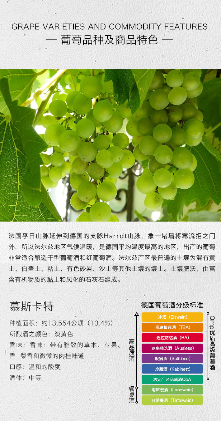 德国酒门 慕斯卡特 半甜白葡萄酒 750ml