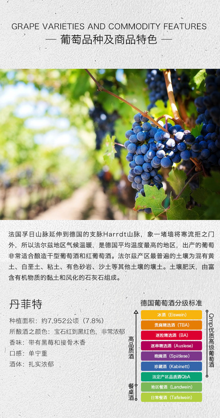 德国酒门 丹菲特 特级干红葡萄酒 Mini包装 250ml