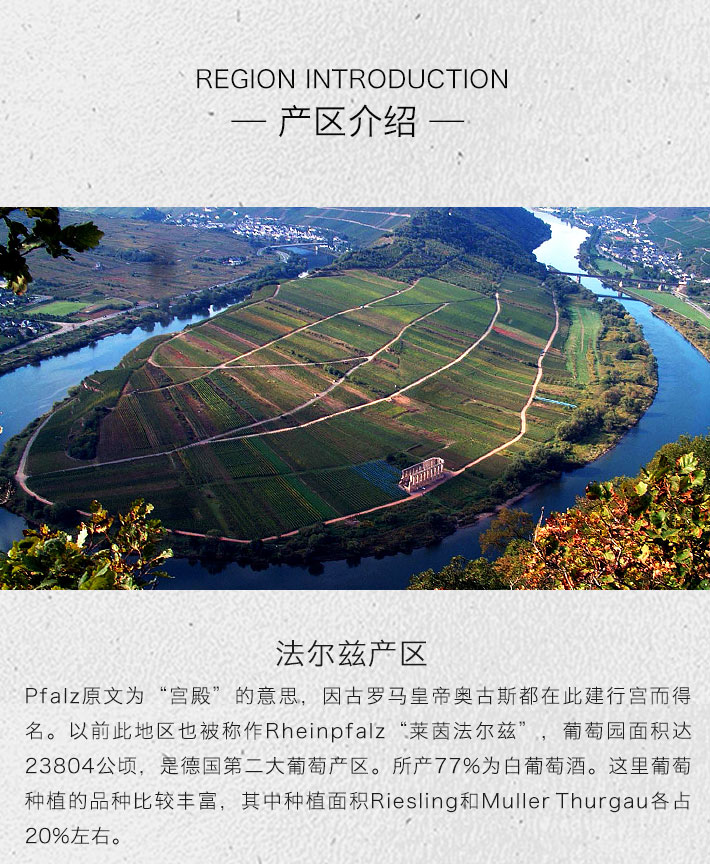德国酒门 长相思 高级干白葡萄酒 750ml