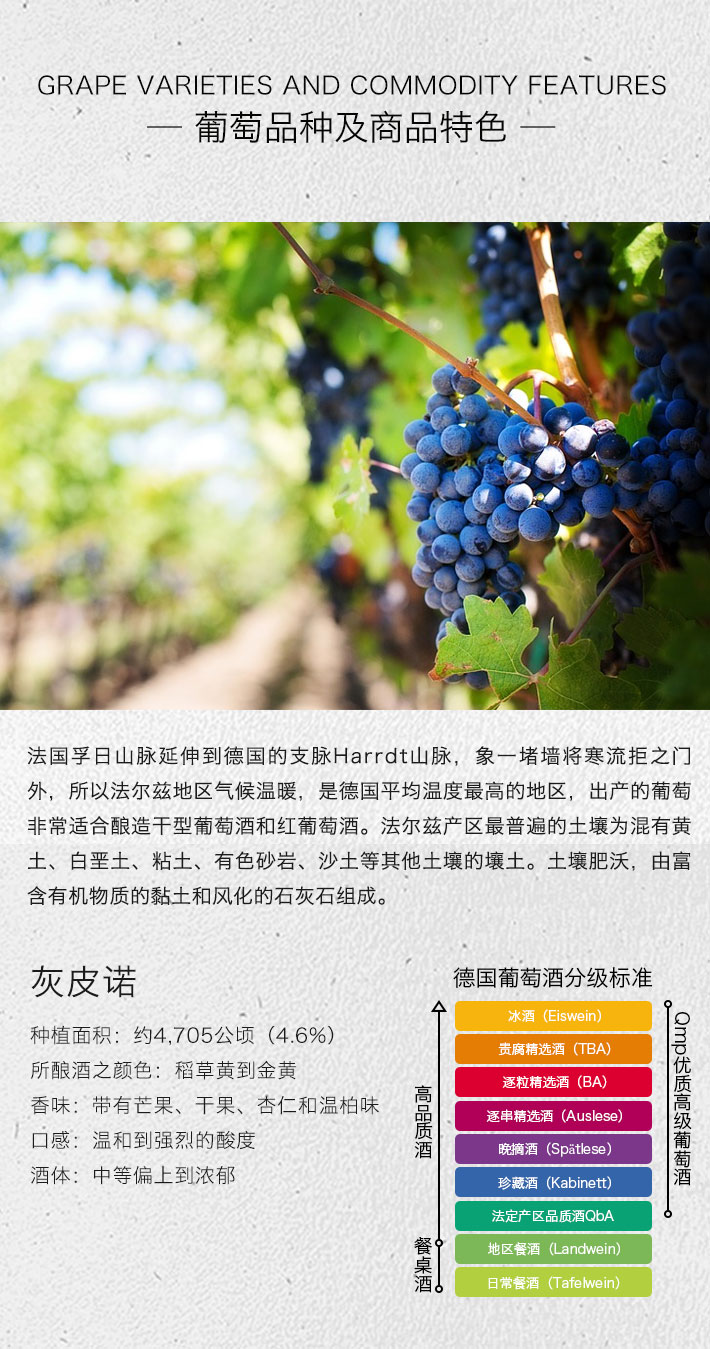 德国酒门 黑皮诺 高级干红葡萄酒 750ml