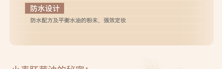 SKINFOOD 思亲肤 小麦散粉 21# 自然色 23克