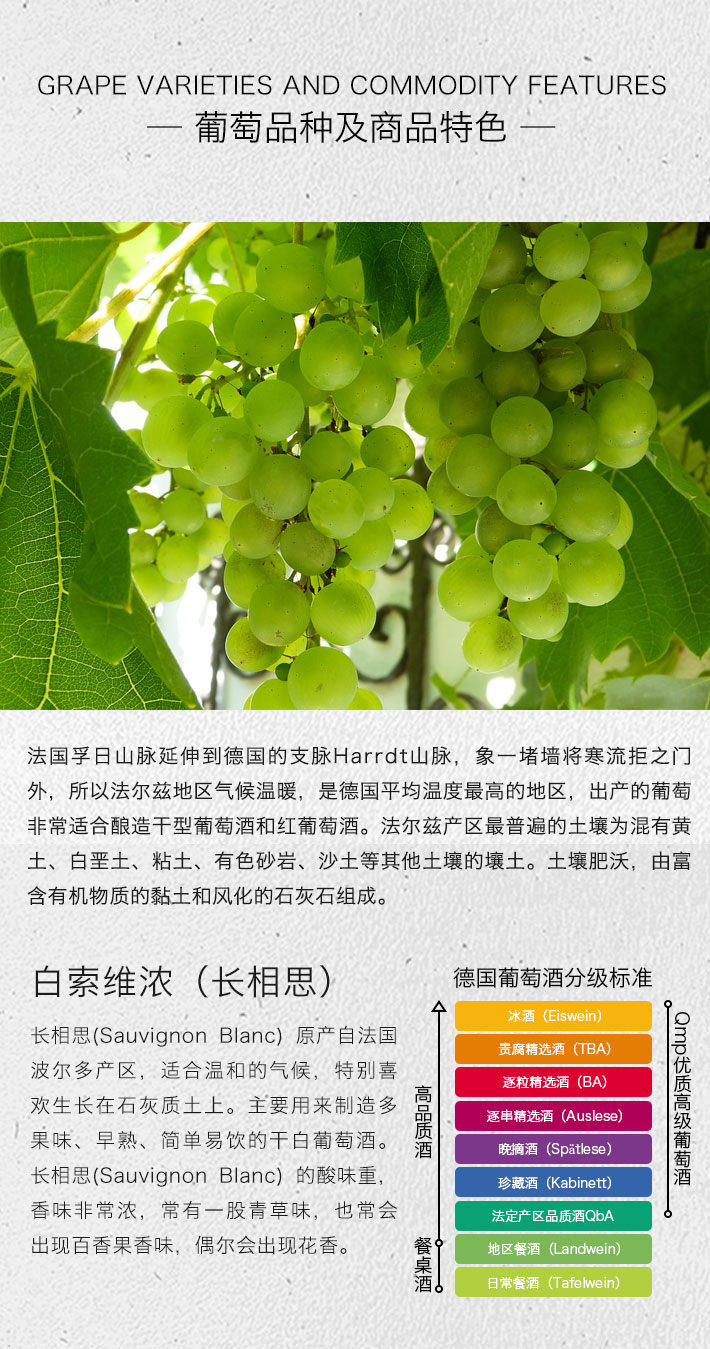 德国酒门 50周年庆典 长相思干白葡萄酒 750ml